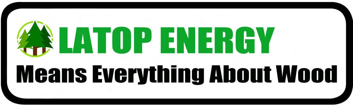 latop logo